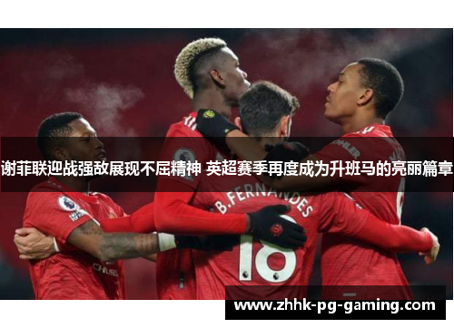 谢菲联迎战强敌展现不屈精神 英超赛季再度成为升班马的亮丽篇章